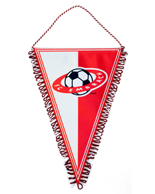 Dreieckwimpel FC Embrach